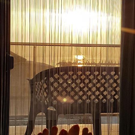 Apartament Andy Mamaia Nord 30 M De Plaja Нэводари Экстерьер фото